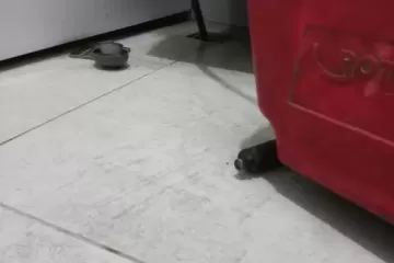 banyogideriacma