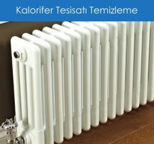 Çankaya Petek Temizleme Çankaya  0536 859 85 05